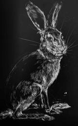 Hase auf einem Scratchboard