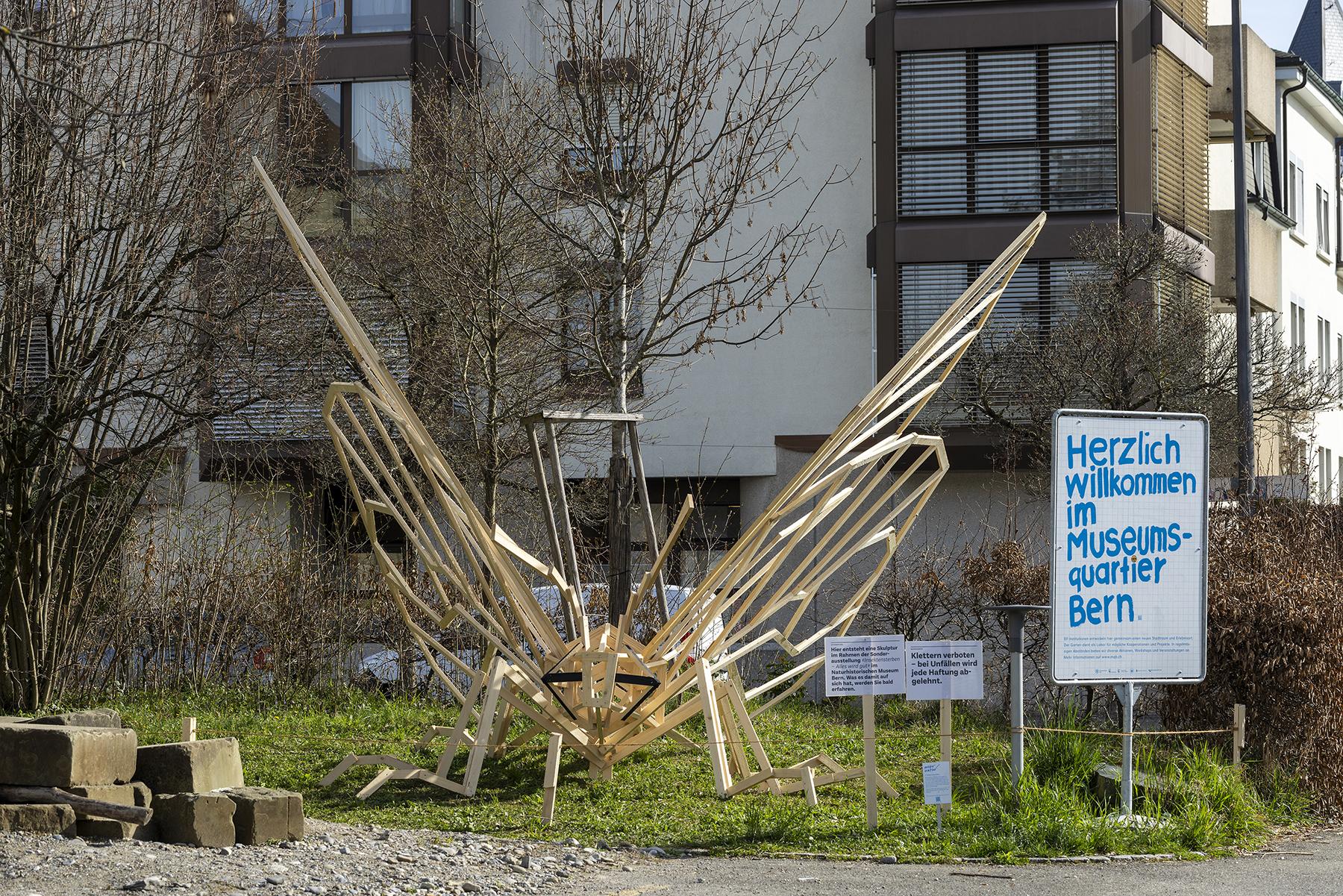 Alpenapollo im Museumsquartier
